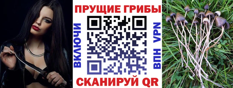 наркошоп  Александровск  Псилоцибиновые грибы мухоморы 